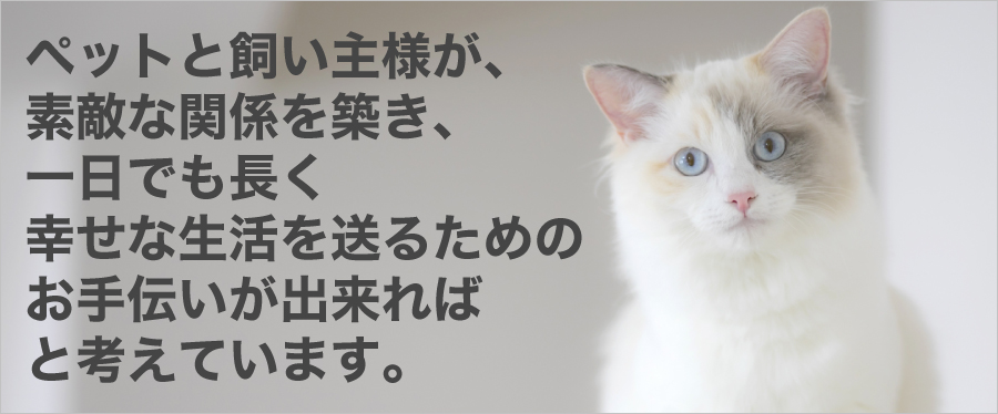 ペットクリニックいわきり